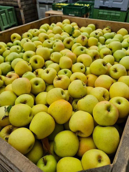 Mere livadă proprie calitatea I