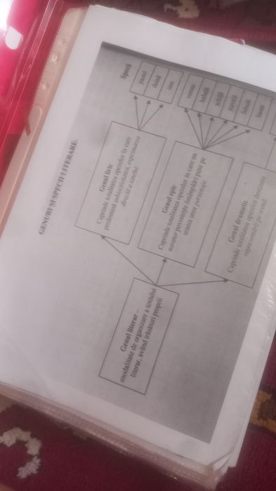 Materiale pentru bac la română