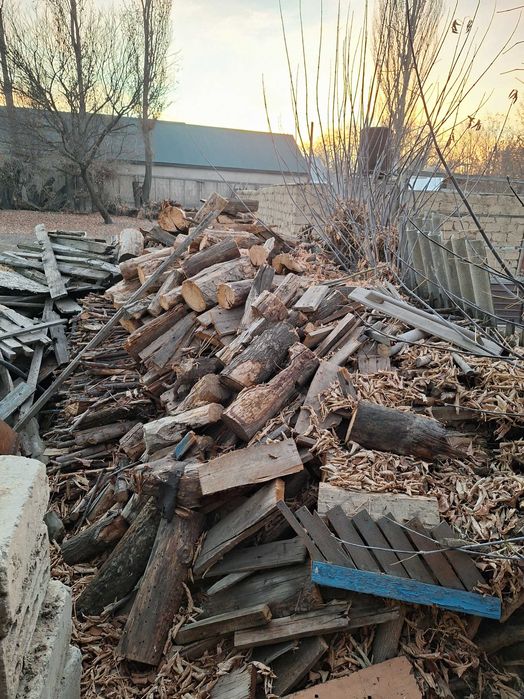 Отын дрова колотые