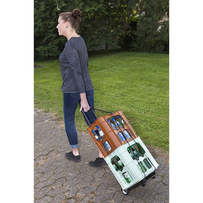 Carucior Transport Bagaje Tip Troler Pliabil Liza Mini 45 kg Germania