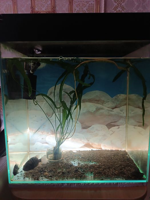 Продам аквариум 35000тг