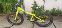 Scott roxter  20