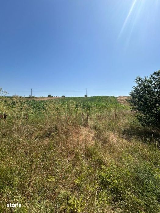 Teren intravilan, 5000 MP, Isalnita