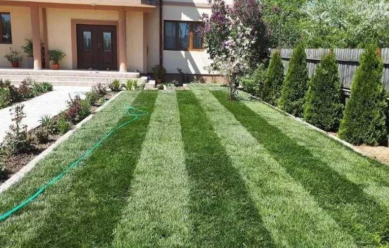 Proiecte verzi reușite – gazon natural cu montaj