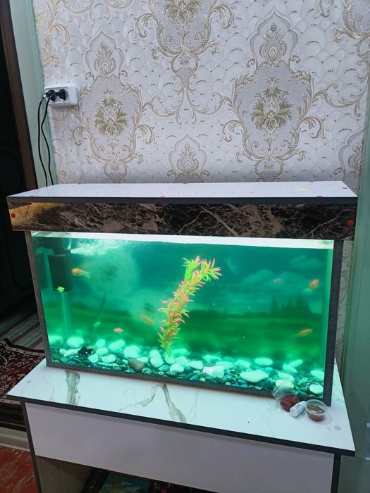 Аквариум сотилади баликчалари Билан 9 та балик размер акварум 90х50х20
