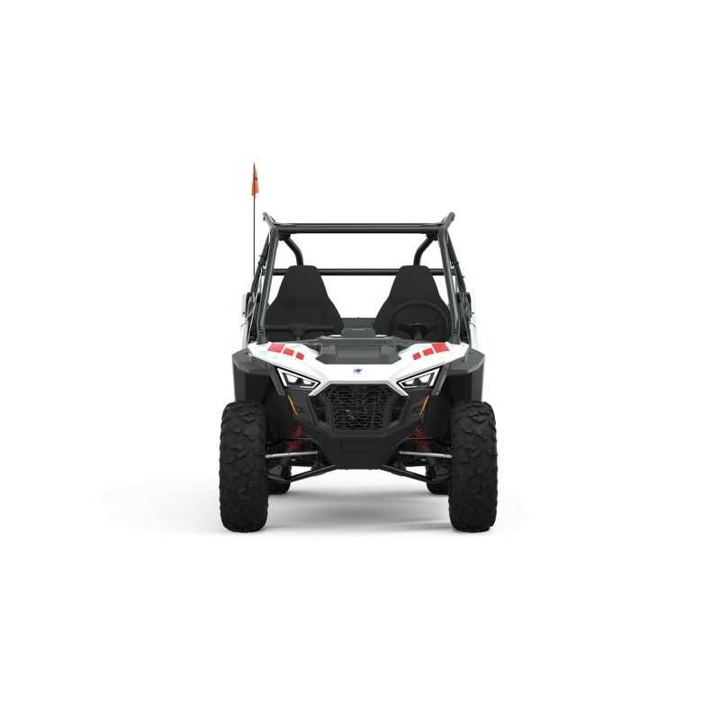 Polaris RZR 200 EFI