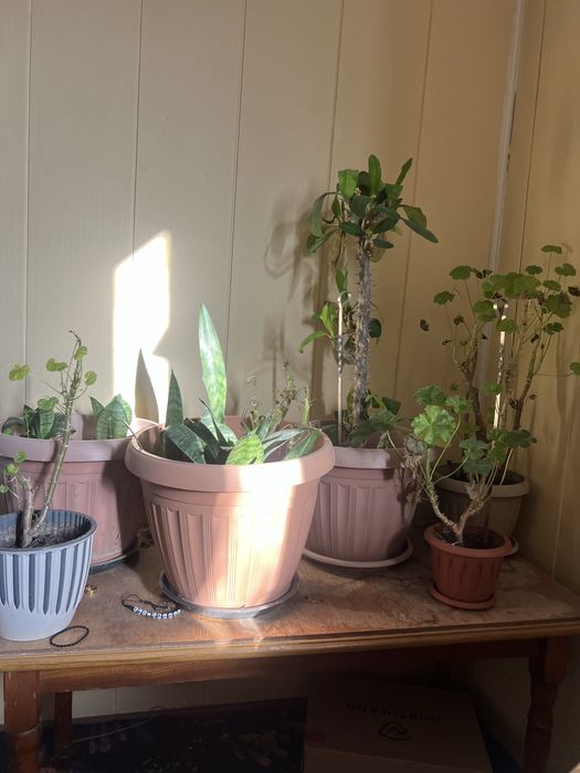 Стол журнальный качественный