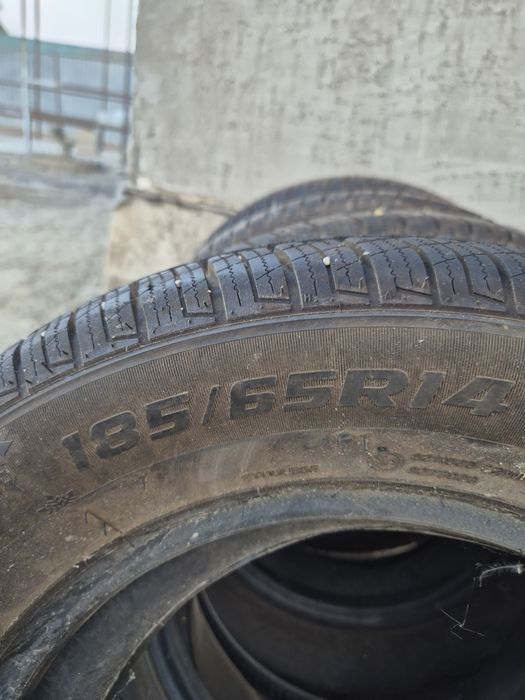 Қысқы дөгелектер