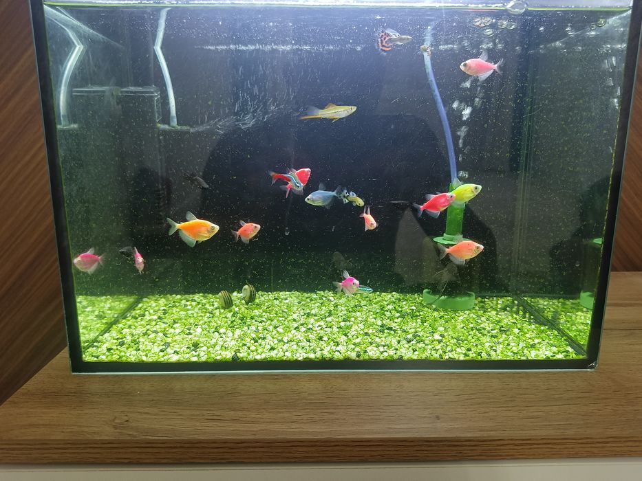 Продам Аквариум с рыбками
