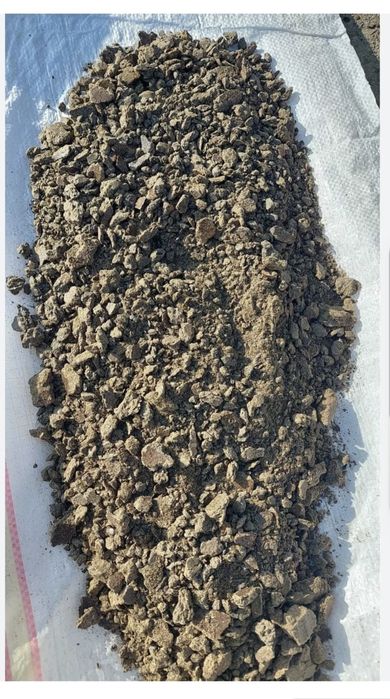 Srot Floarea-Soarelui