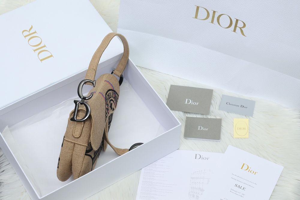 Geanta Christian Dior Saddle, tip Premium