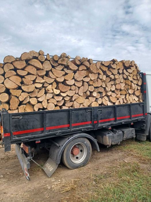 Lemn de foc FAG/CARPEN calitatea 1
