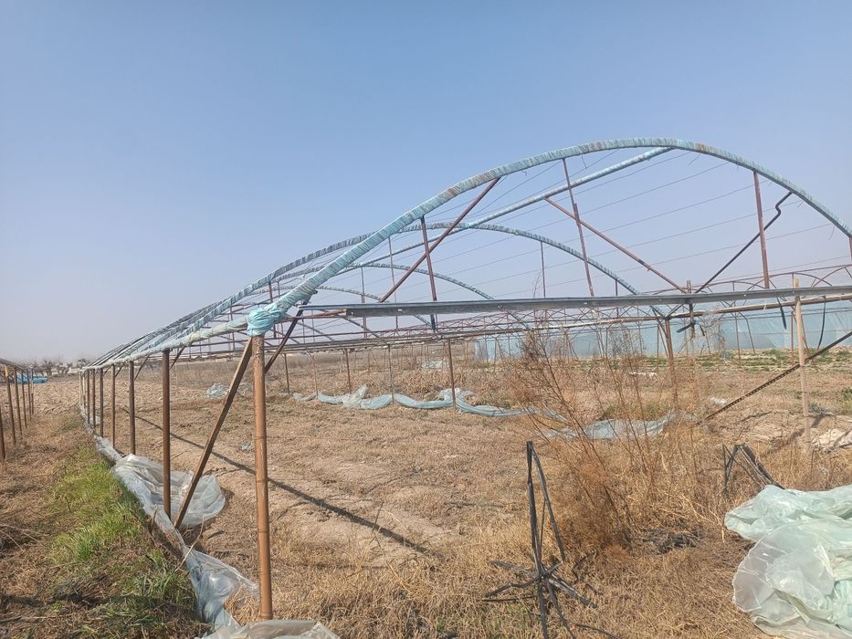 Issiqxona sotiladi faqat klyonkasi yuq boshqa xamma narsani bor