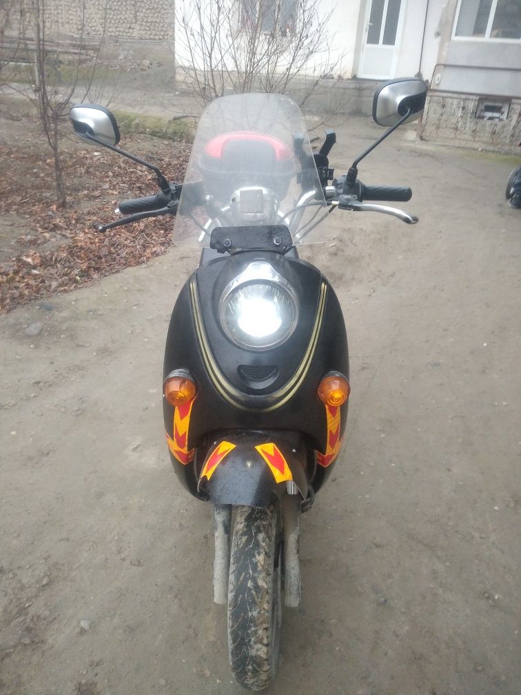 Elektr    skuter