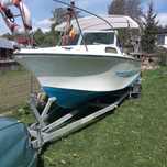 Barca Daycruiser cu motor