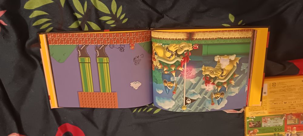Super Mario Maker limited edition