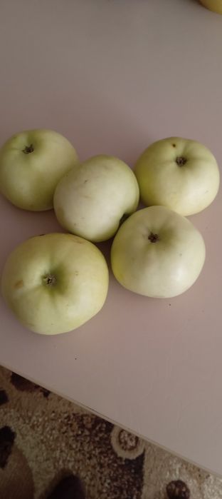Яблоки дачные  вкусные