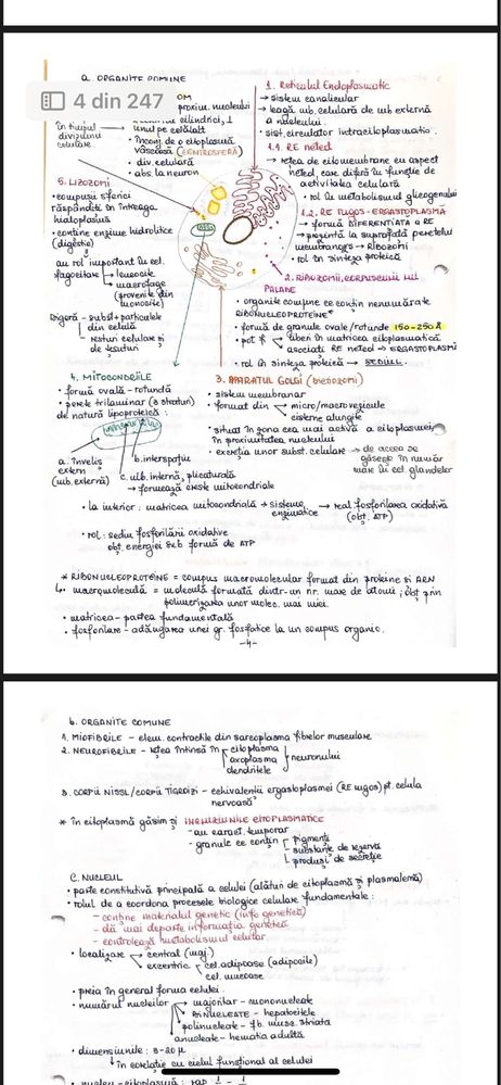 Material pdf admitere medicina- corint