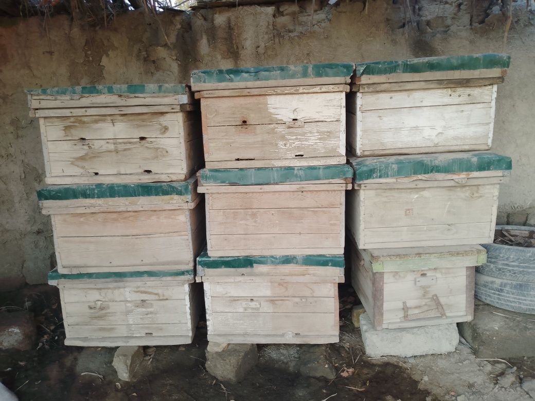Asalari yashiklari sotiladi narxi 250000 kelshiladi koʻproq olinsa 200