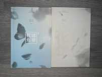 Albume BTS Hyyh pt 1 and 2
