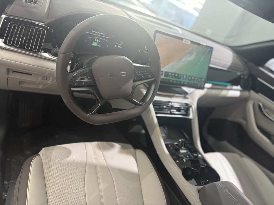 Byd Champion 605km smart