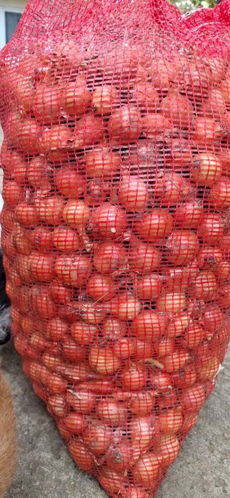 Stufat pentru ceapa verde