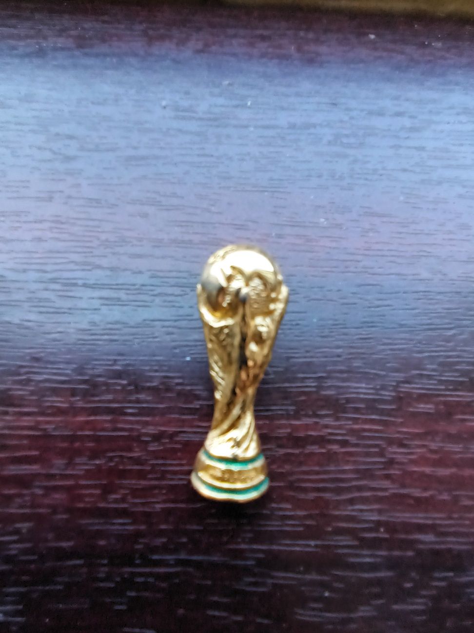 insigna cupa mondiala fifa 1999