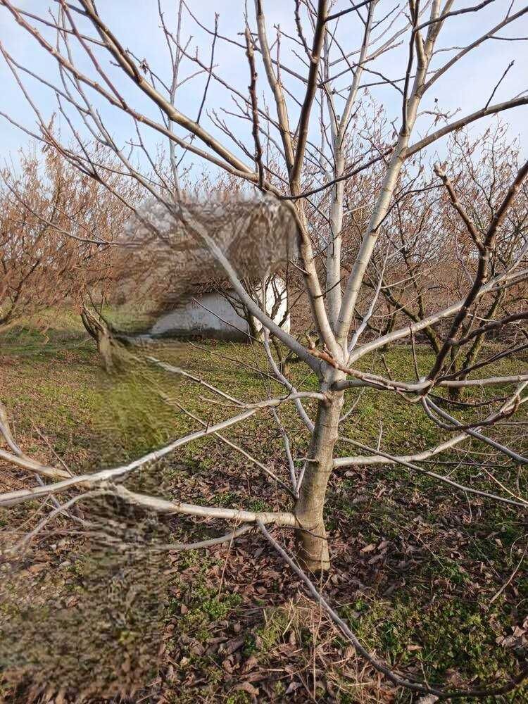 Къща с голям двор в Добрево