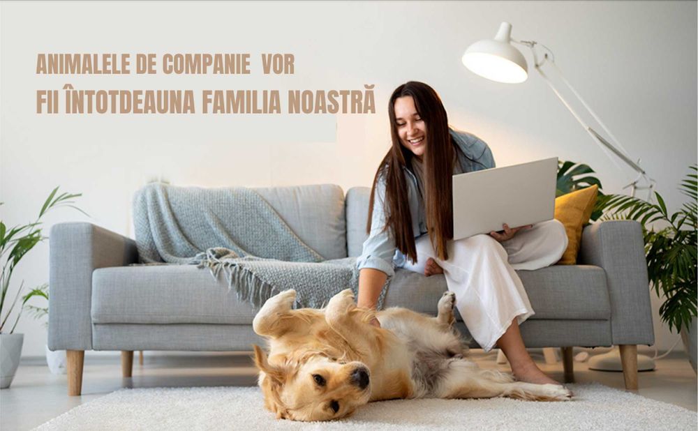 Masina Profesionala tuns Animale, Caini si Pisici, 5 Moduri+Turbo -Nou