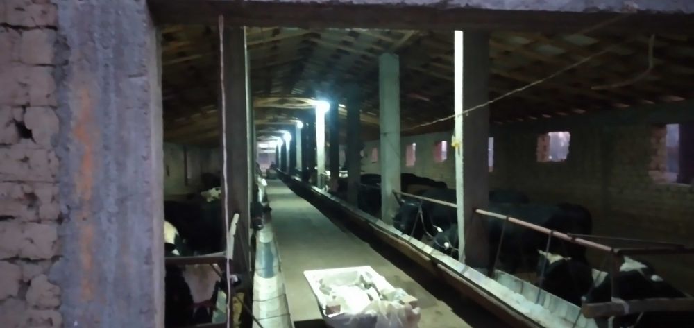 Сдается в аренду ферма