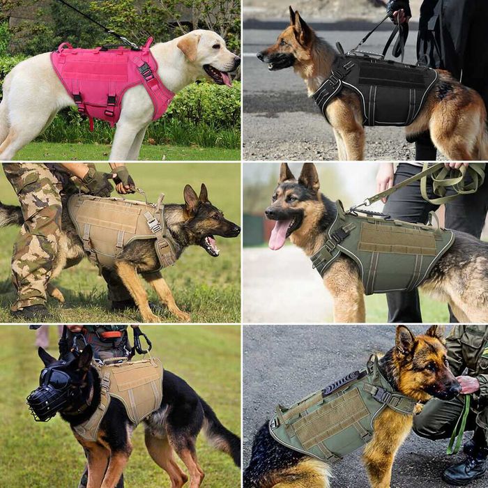 Ham tactic pentru caini de dresaj sau plimbat