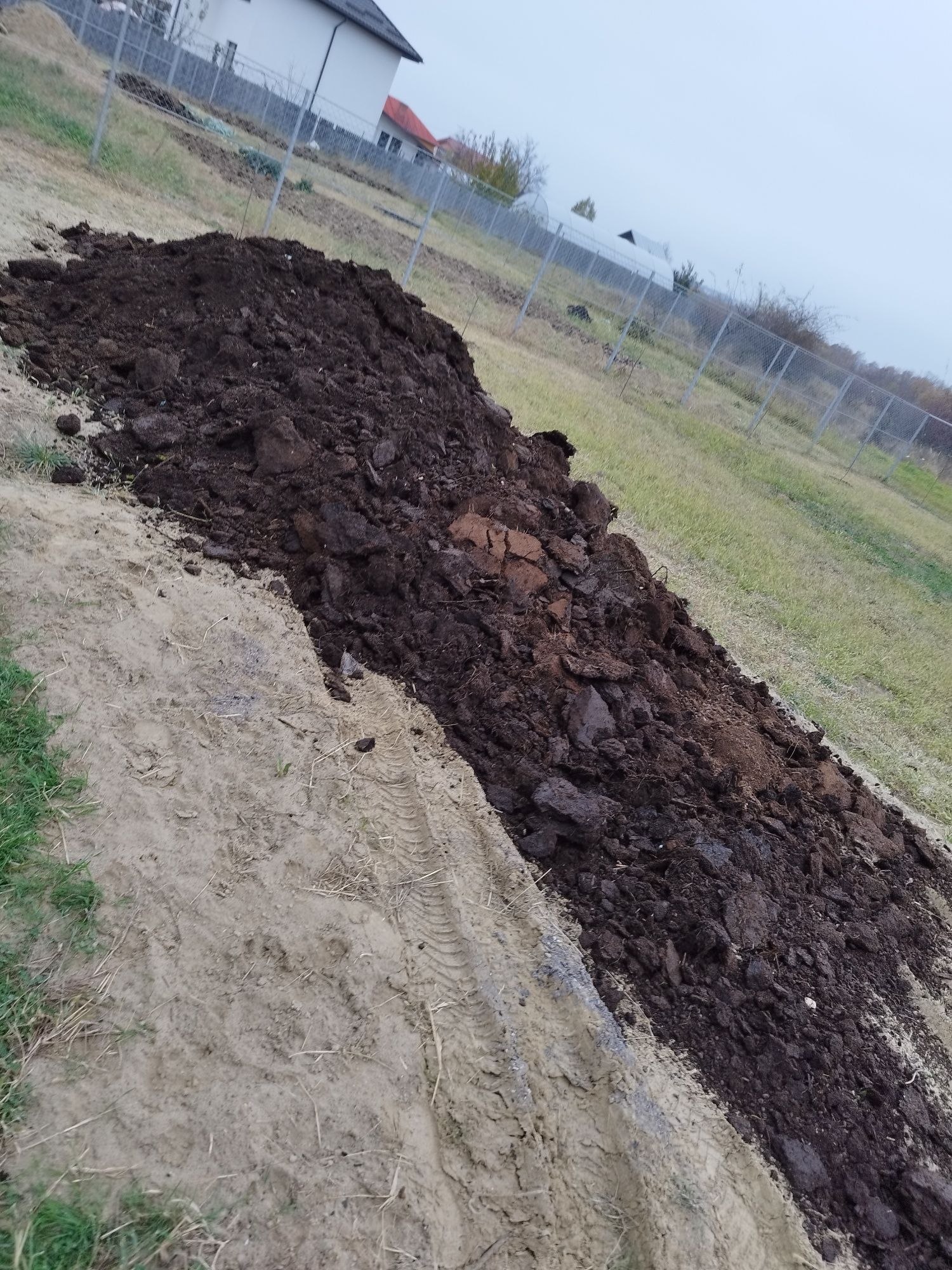 Balegar mranita putred de oaie ,gunoi de grajd uscat si curat de 3 ani