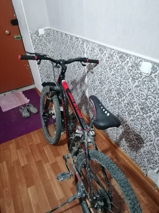 Велосипед спорты