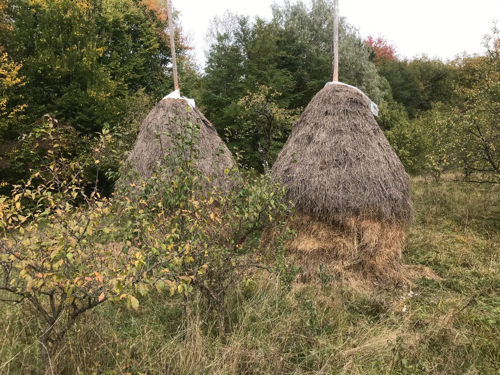 Vand teren zona Runcu