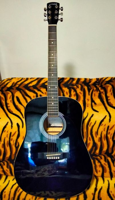 Електро акустична китара Nashville GSD-60 -BK с Fishman 301