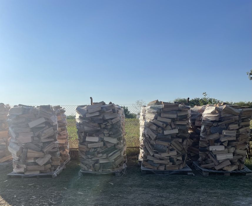Vand lemne de foc Fag-Spart