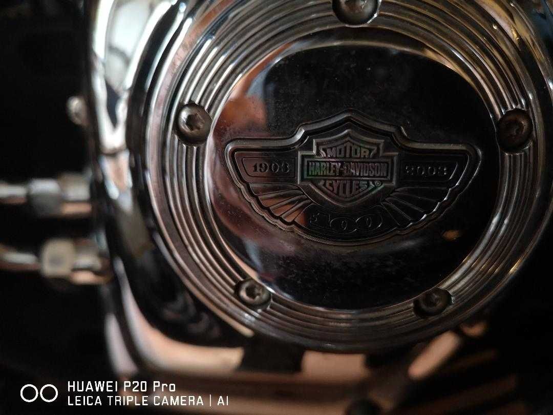 Vand Harley Davidson,Softail Springer, 100th Anniversary