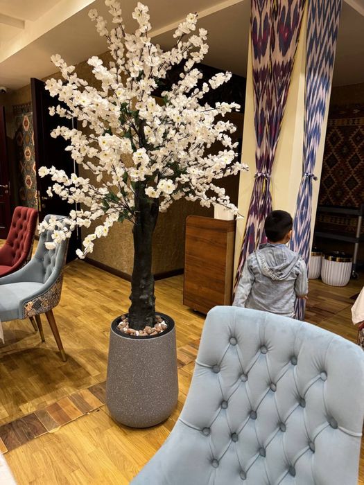 Oyiga 20 million so’m foyda ob keladigan tayyor biznes