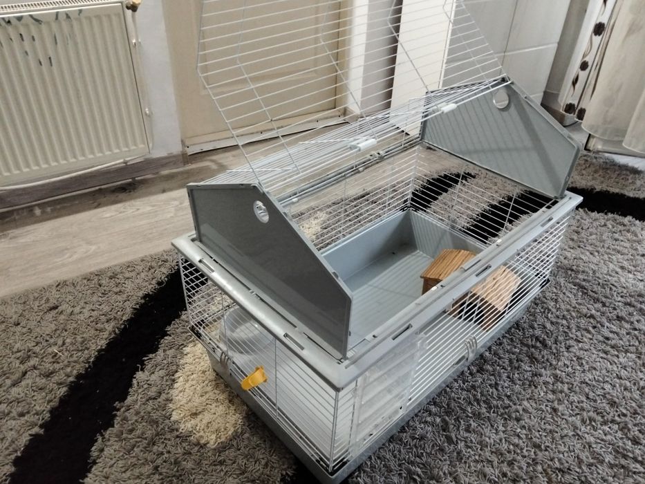 Șinșila, cu tot cu cusca