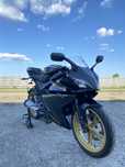 Yamaha YZF R-125 2011 (A1 16ani)