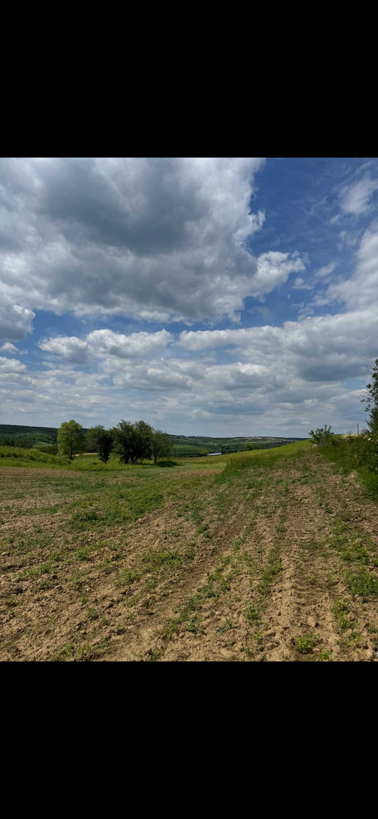 Teren intravilan - Lazareni , Bihor
