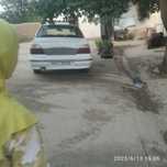 Zor ajoyib tavsif