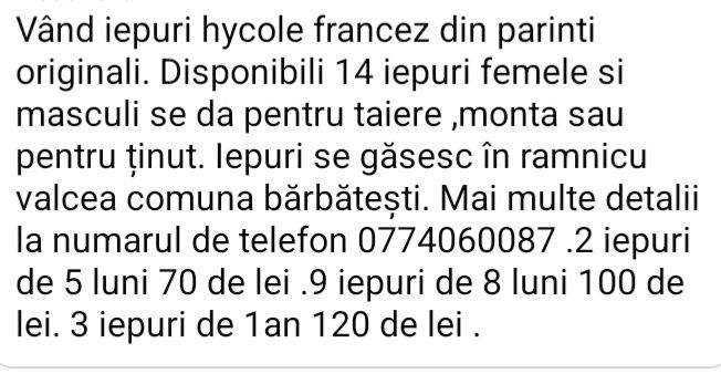 Iepuri hycole francez