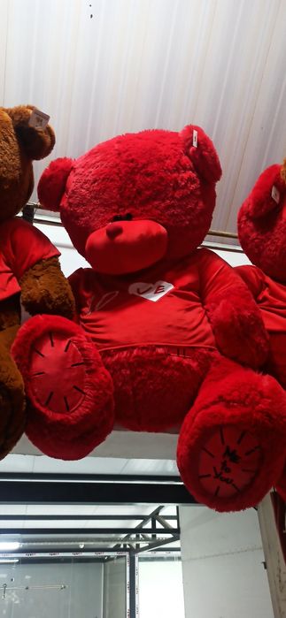 Teddy Teddi (oq rang 170 sm)