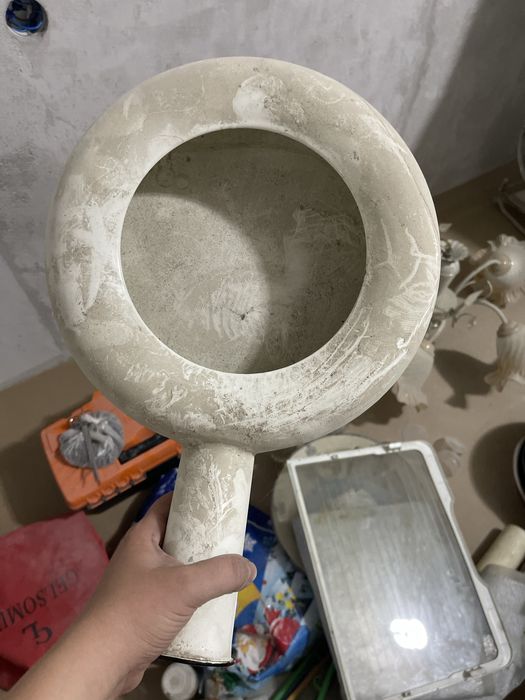 Утка медицинская