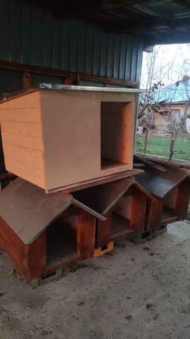 Cușcă izolată  ; câini  mari și mici