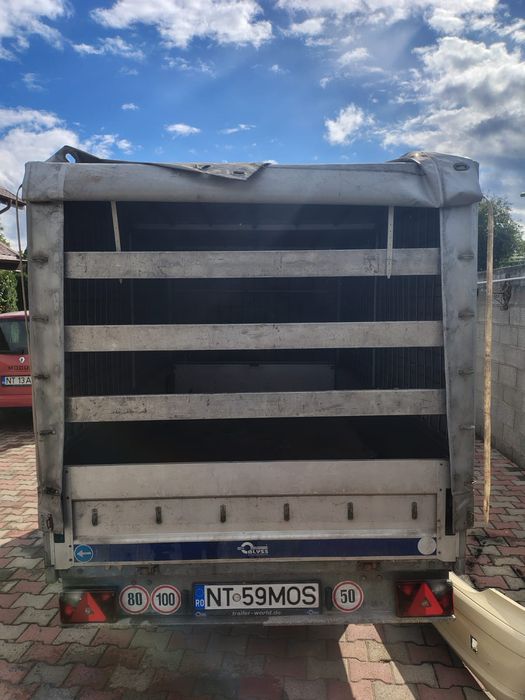 Remorcă Blyss - Phoenix II