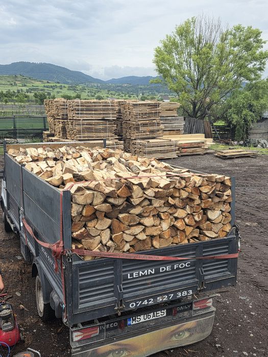 Lemn lemne de foc uscate tăiate crăpate