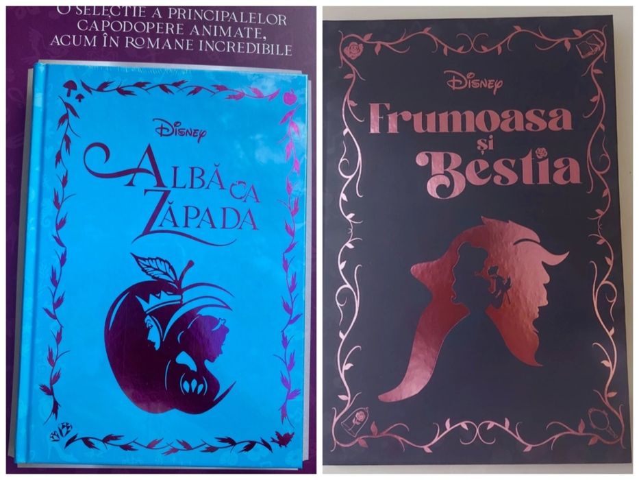 Set de 2 cărți Disney