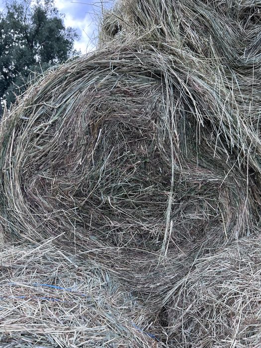 Vând baloți de iarbă mixtă